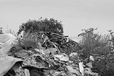 waste deposit_024